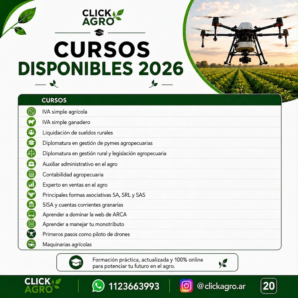 Cursos disponibles